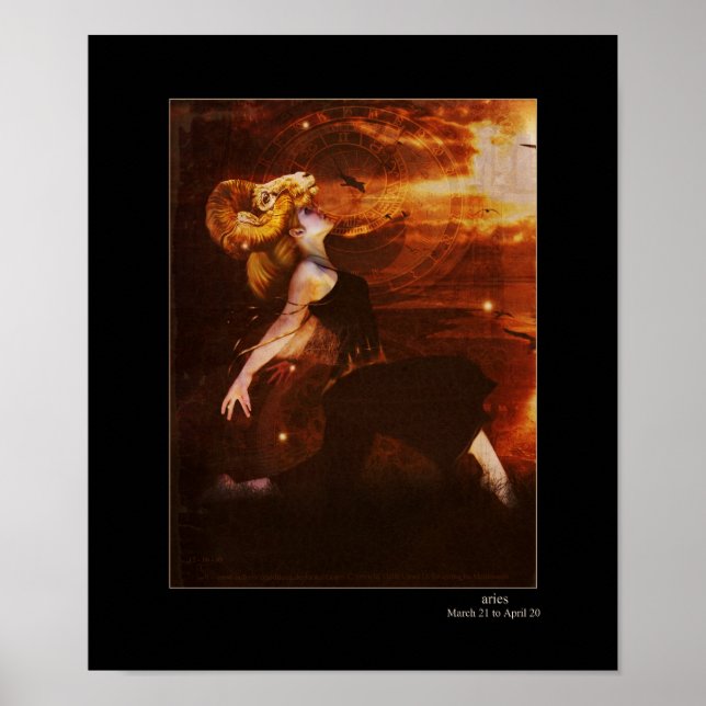 aries poster (Front)