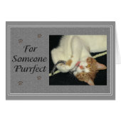 Aries Purrfect (Front Horizontal)