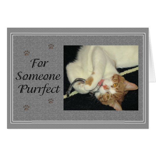 Aries Purrfect Cards (Front Horizontal)