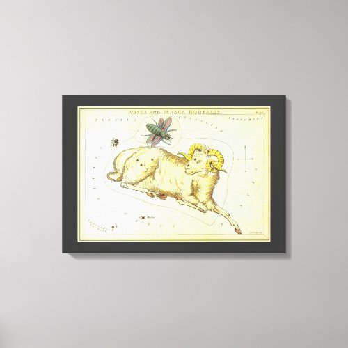 Aries Ram Vintage Constellation Uranias Mirror Canvas Print