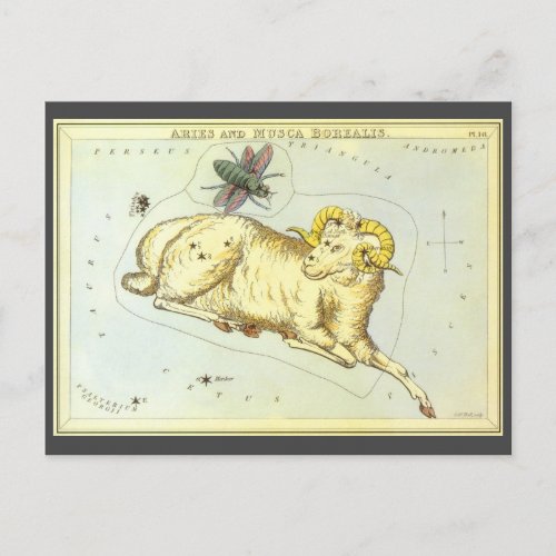 Aries Ram Vintage Constellation Uranias Mirror Postcard