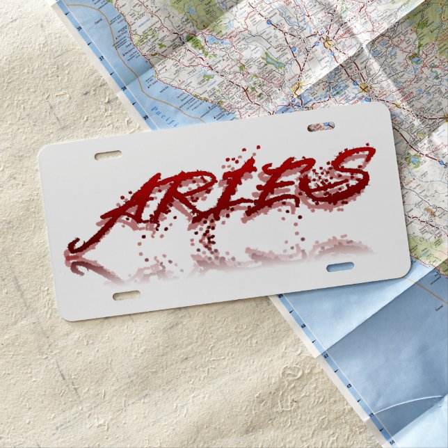 Aries Reflection License Plate (In Situ)
