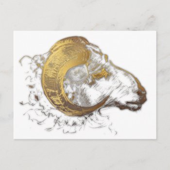 Aries Zodiac Ram Chinese Year Golden Horns Postc Postcard by AnimalDrawings at Zazzle