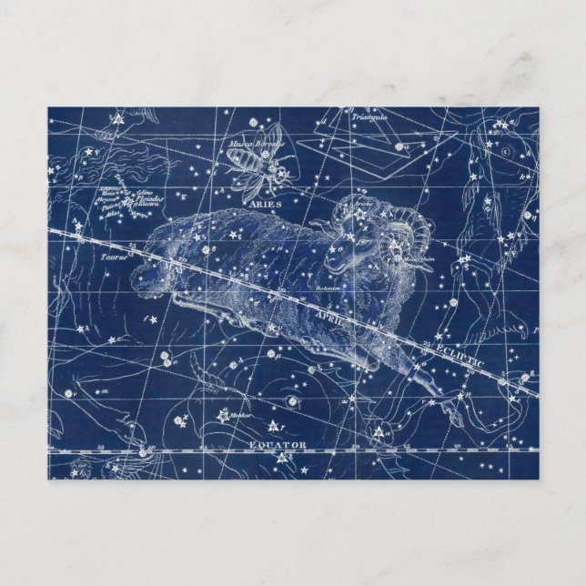 Aries Zodiac Sign Vintage Illustration Postcard (Front)