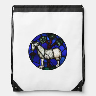 Aries Zodiac Stained Glass Notre-Dame de Paris Bp Drawstring Bag