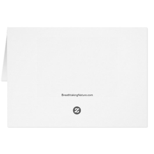 Arion Picture (Back Horizontal)