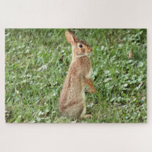 Arisdale Arts: Wild Rabbit Standing