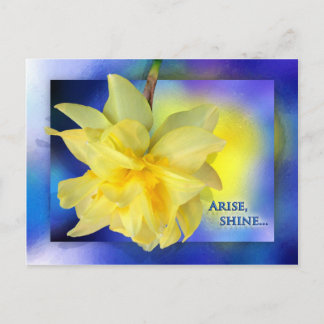 Arise, Shine! Postcard