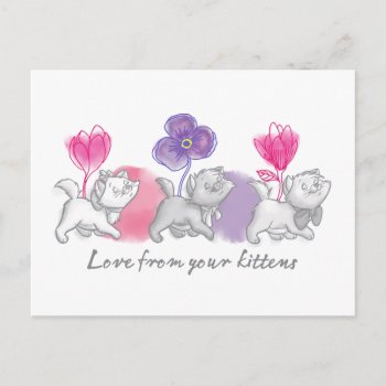 Aristocats | Love From Your Kittens Postcard by OtherDisneyBrands at Zazzle