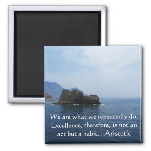 Aristotle Excellence Quotation Magnet