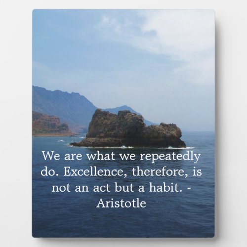 Aristotle Excellence Quotation Plaque