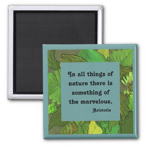 Aristotle quotation on nature magnet