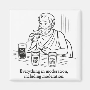 Aristotle's Guide to Moderation Magnet