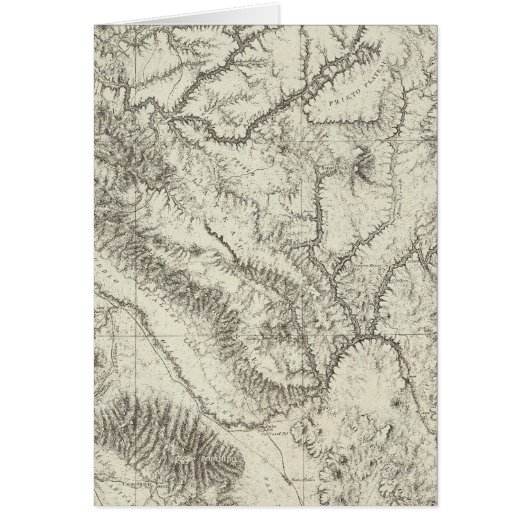 Arizona 4 cards (Front)