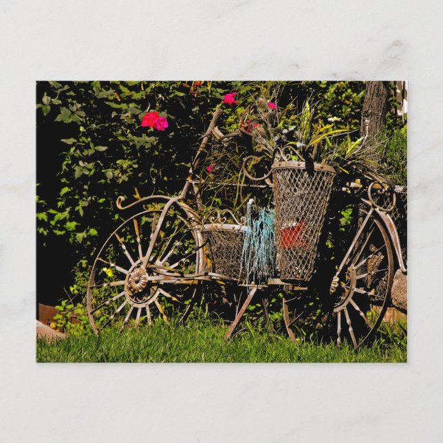 Arizona Antique Postcard (Front)