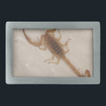 Arizona Bark Scorpion Belt Buckle<br><div class="desc">Arizona Bark Scorpion</div>