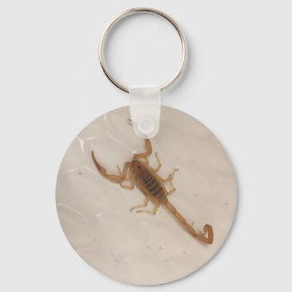 Arizona Bark Scorpion Keychain