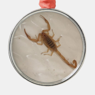 Arizona Bark Scorpion Metal Ornament
