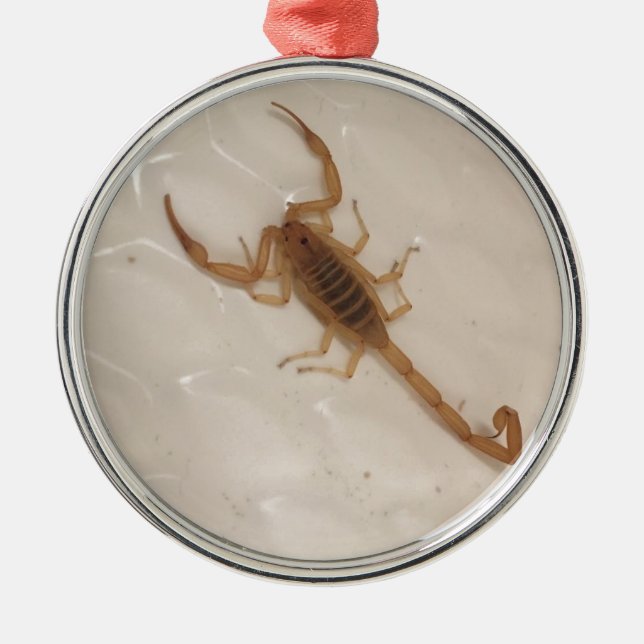 Arizona Bark Scorpion Metal Ornament (Front)