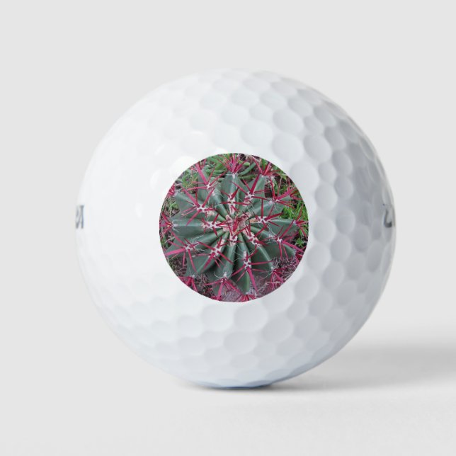 Arizona Barrel Cactus Desert Plant Close-up Photo Golf Balls (Front)