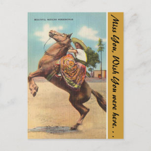 Arizona, Beautiful Mexican Horsewoman Postcard