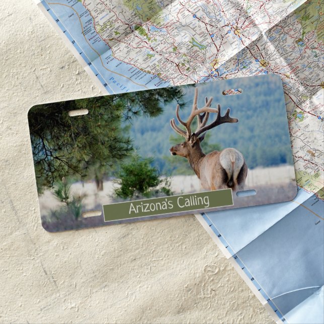 Arizona Bull Elk Full Velvet Antlers Personalized License Plate (In Situ)