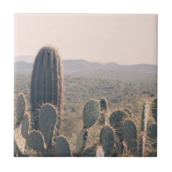 Arizona Cacti  | Desert Bohemian Landscape Photo Tile by GaeaPhoto at Zazzle