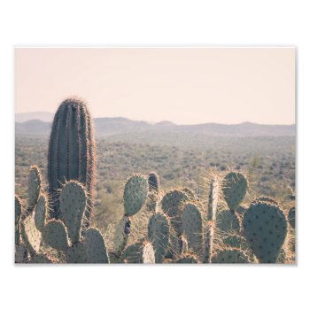 Arizona Cacti | Photo Print by GaeaPhoto at Zazzle