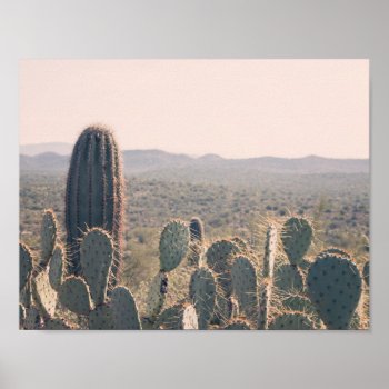 Arizona Cacti | Poster by GaeaPhoto at Zazzle