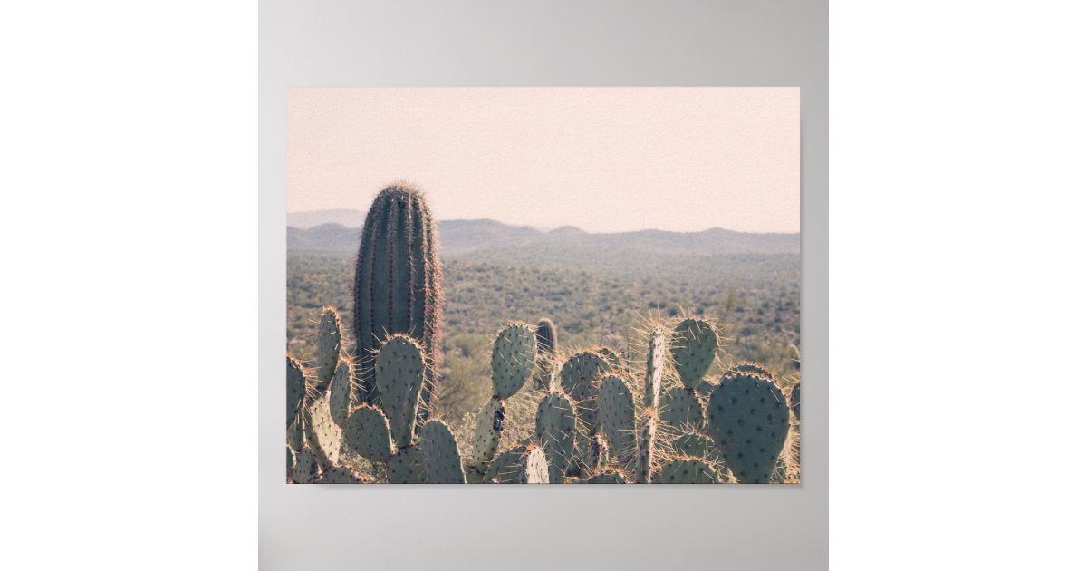 Arizona Cacti | Poster | Zazzle