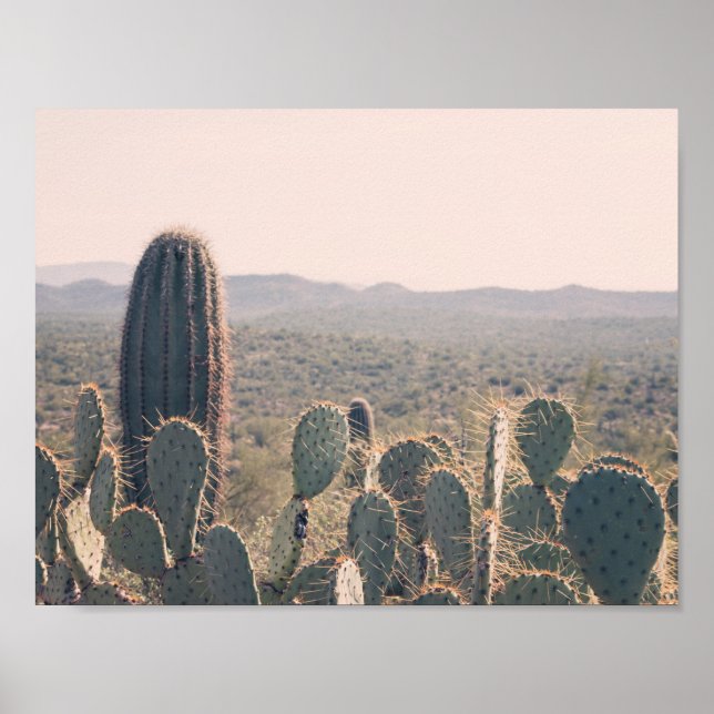 Arizona Cacti | Poster (Front)