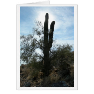 Arizona Cactus (Blank) Cards