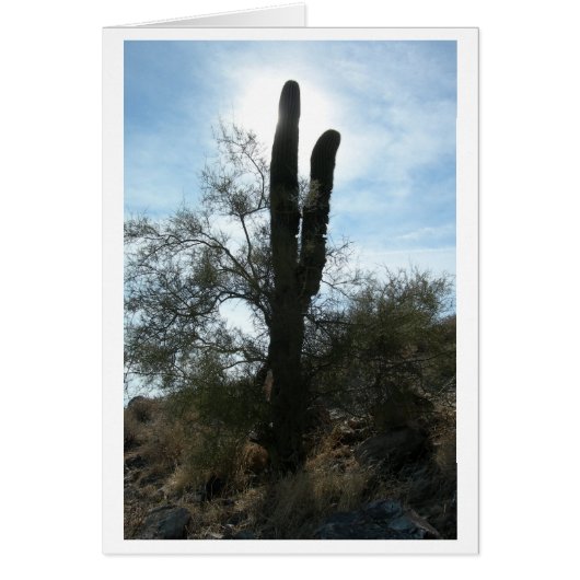 Arizona Cactus (Blank) Cards (Front)