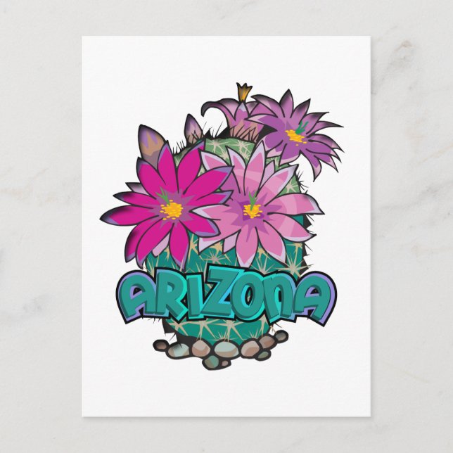 Arizona Cactus Blooms Postcard (Front)