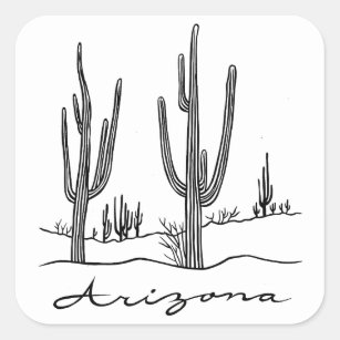 Arizona Cactus Country Square Sticker