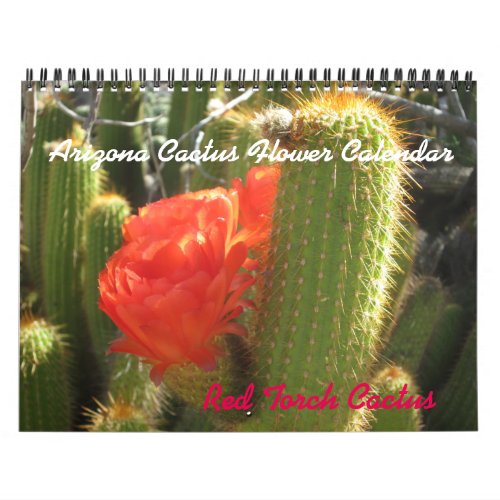 Arizona Cactus Flower Calendar