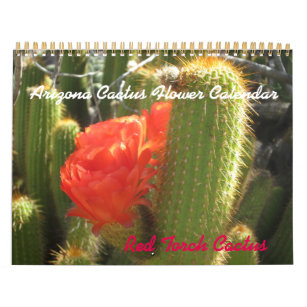 Arizona Cactus Flower Calendar