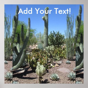Arizona Cactus Garden Poster by VacationPhotography at Zazzle