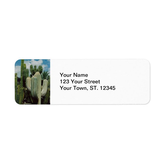 Arizona Cactus Label (Front)
