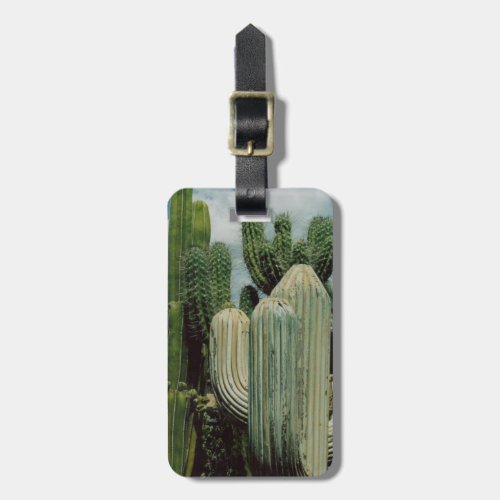 Arizona Cactus Luggage Tag