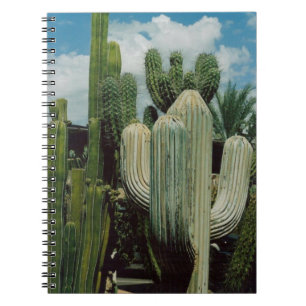 Arizona Cactus Notebook