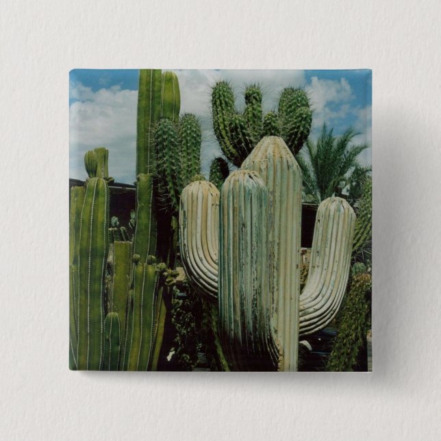 Arizona Cactus Pinback Button (Front)