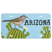Arizona Cactus Wren Saguaro Desert Illustration