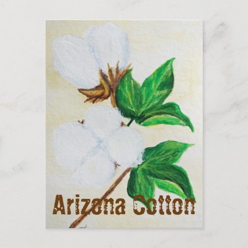 Arizona Cotton Facts Postcard