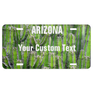 Arizona Custom Personalized Cactus Cacti License Plate