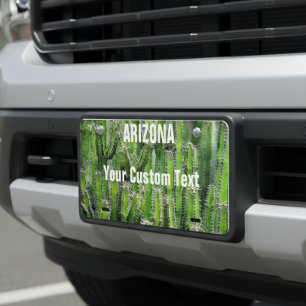 Arizona Custom Personalized Cactus Cacti License Plate