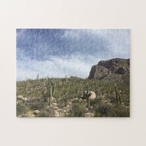 Arizona Desert Cactus Nature Jigsaw Puzzle