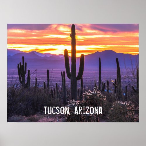 Arizona Desert Cactus Sunset Nature Photo Souvenir Poster