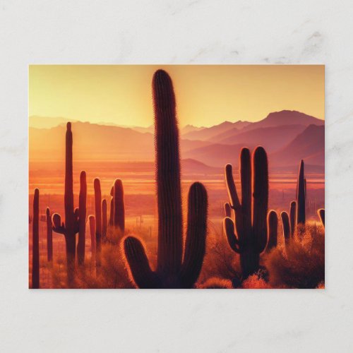 Arizona Desert cactus sunset Postcard