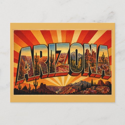Arizona Desert Canyon Mountain Vintage Art Postcard